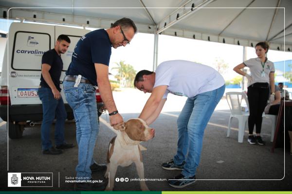 Dia D de vacinação antirrábica para cães e gatos será no próximo sábado