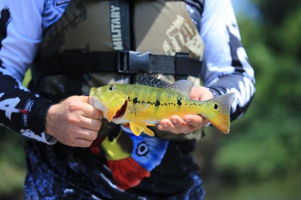 Prefeitura de Sinop conquista certificação nacional para organizar competições de pesca