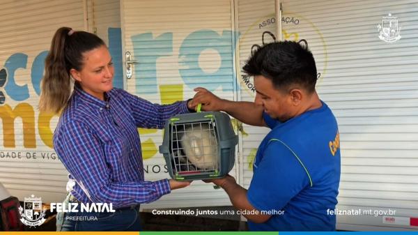 Programa de Castração Social realiza mais de 50 procedimentos em Feliz Natal