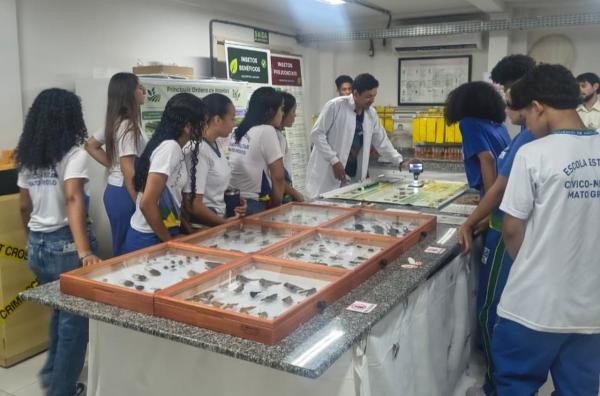 Feira do Clube de Ciências Decolar reúne estudantes da Rede Estadual em projetos de pesquisa