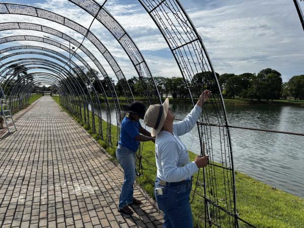 Depredação de decorações natalinas é registrada em lagos de Matupá e no bairro Cidade Alta
